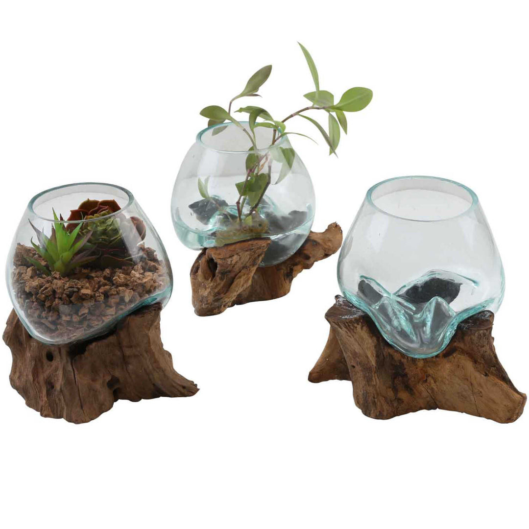 Glazen vaas op wortelhout A15