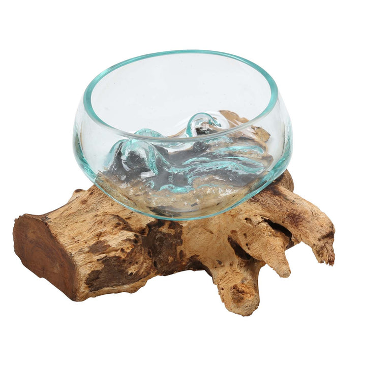 Glas Schale auf Wurzelholz