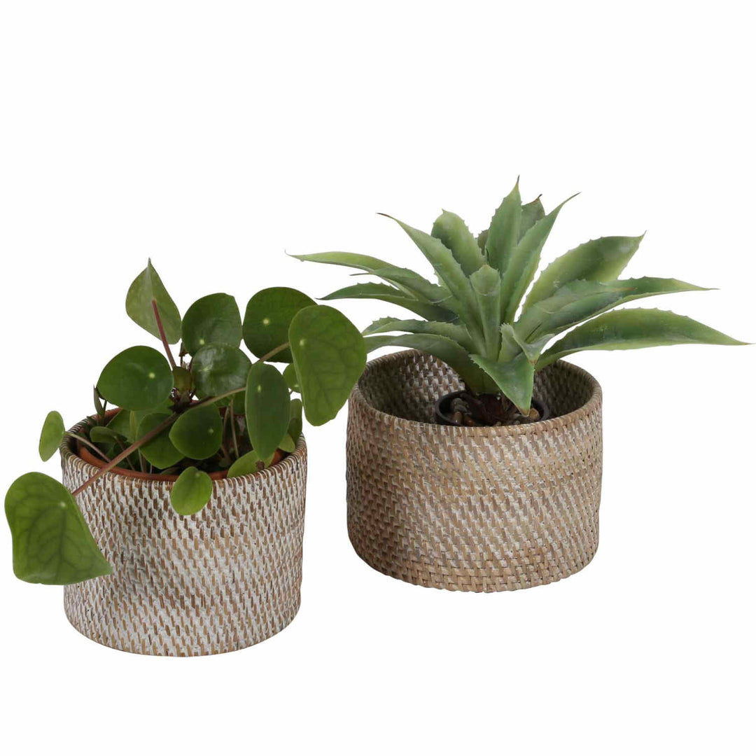 Panier à couverts Lilia White washed