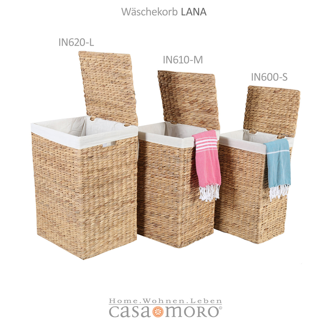 Wasmand Lana L