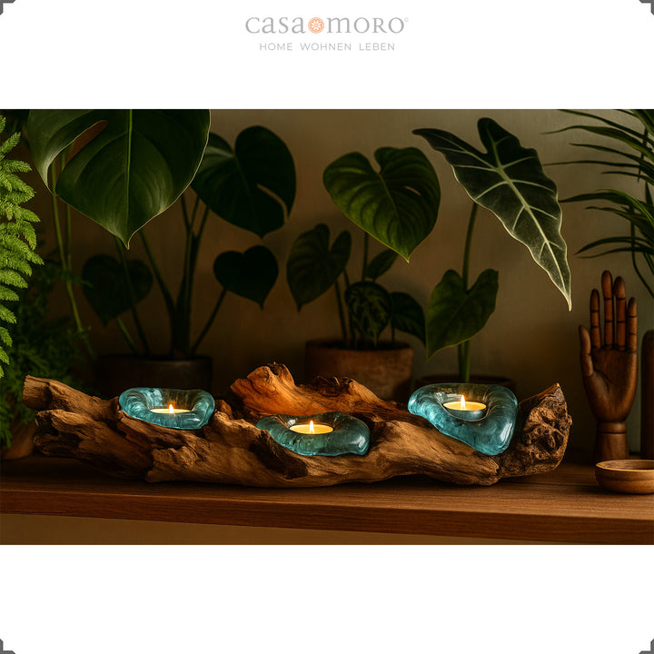 Langwerpige theelichthouder van glas en wortelhout voor weelderige groene planten, het zachte licht benadrukt de rustige, natuurlijke sfeer.