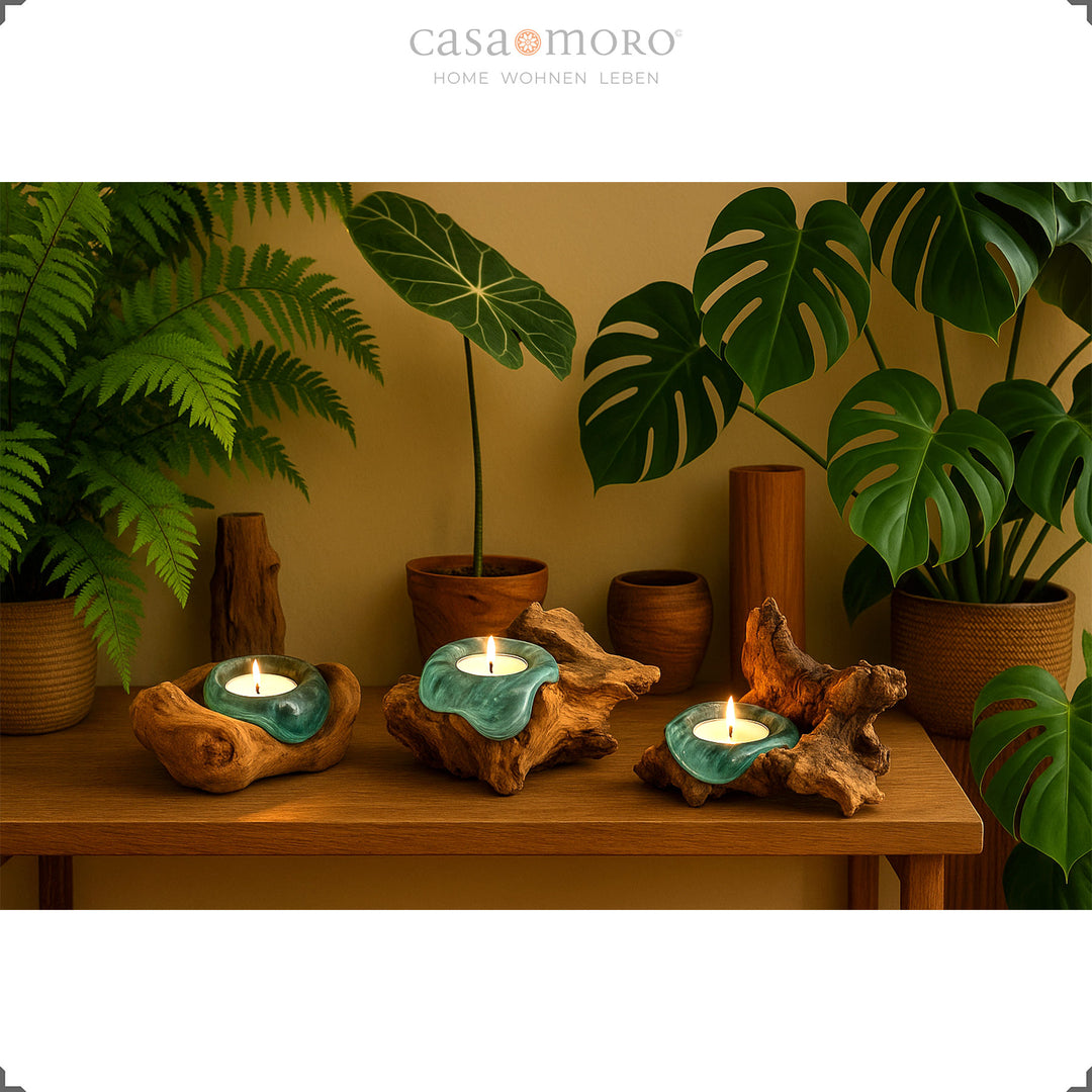 Drie theelichthouders van glas en wortelhout op een houten plank, hun zachte licht harmonieert met de weelderige groene planten in de kamer.
